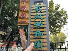 -武汉动物园