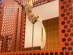 -二酉书店TOYOU BOOKS