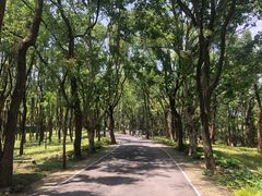 -东湖落雁景区