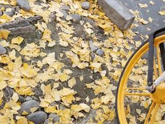 -四川大学(华西校区)