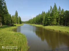 -黄海国家森林公园