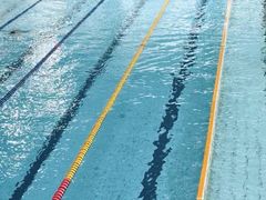 -南山文体中心-游泳馆