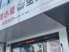 -糕小爱·动物奶油生日蛋糕定制(合肥总店)