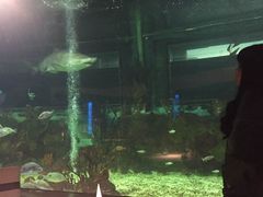 -湘聚南县土菜馆(龙山二路店)