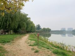 -大兴滨河森林公园