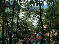 -广州市流溪河国家森林公园
