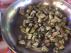 九爪螺-盒马鲜生(曜一城店)