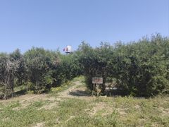 -亲兄弟真人CS团建拓展基地