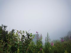 -白草畔自然风景区