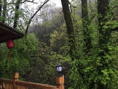 -黄山温泉国际旅游度假区