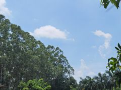 -揭东万竹园旅游景区