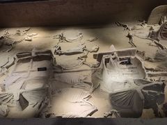 -洛阳周王城天子驾六博物馆