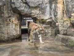 -南昌动物园