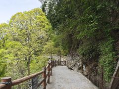 -少华山国家森林公园
