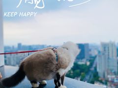 -塔顶·Cafe·日啡夜酒(北京路店)