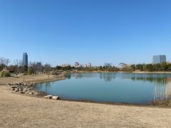 -澹台湖公园
