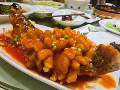 松鼠鳜鱼-顺风海鲜港(金玉兰店)