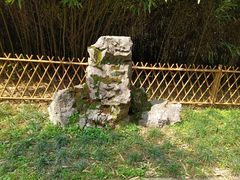 -杭州植物园
