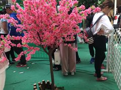 -哈根达斯(抚顺万达店)