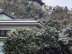 -浙江西子宾馆·瑶园咖啡厅