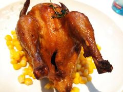 可乐春鸡-港丽餐厅(高德置地店)