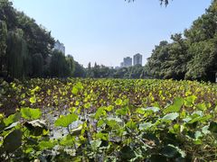 -包公祠