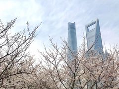 -上海观复博物馆