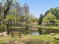 -上海共青森林公园