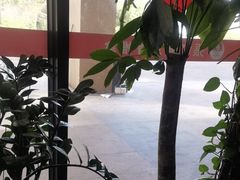 -张钰强中医正骨推拿连锁(唐家人才公寓店)