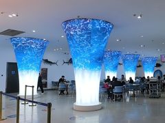 -深海中餐厅(国家海洋博物馆店)