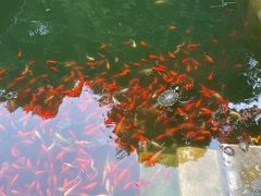 -乐山大佛风景名胜区乌尤寺南门-售票点