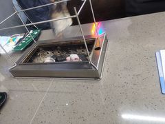 -老吕涮羊肉•东北原味烧烤•大油边•烤鱼(五角场店)
