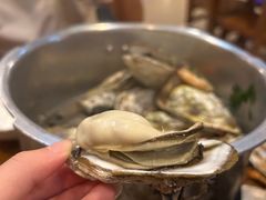 -土蚝·高压锅生蚝(百姓美食街店)