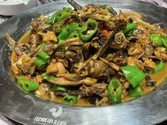 -俭寨大盘鸡·缸子肉·小公鸡·新疆菜(云通店)