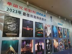 -华谊兄弟影院(IMAX洋桥店)