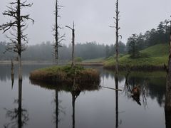-瓦屋山景区