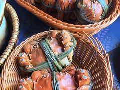 -蟹村草堂·苏式园林人文农家·大闸蟹