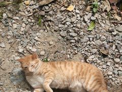 -七仙岭温泉国家森林公园