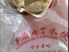 -乡府肉丁水饺(环山路店)
