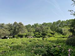 -洛阳市隋唐城遗址植物园