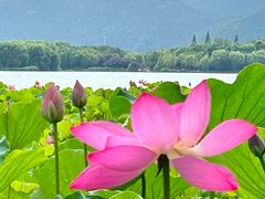 -石湖景区