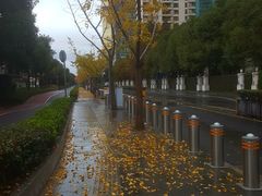 -花旗集团大厦