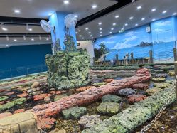 -钓虾工场·钓虾·赶海(回龙观店)