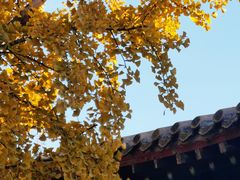 -北京石刻艺术博物馆(五塔寺)