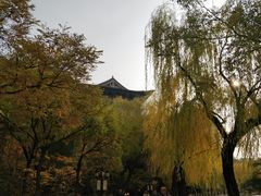 -文瀛公园