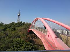 -金鸡山公园