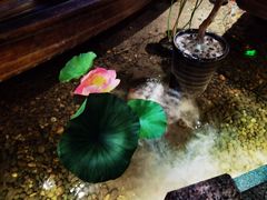 -苏浙徽·江南荟·本味融合菜(相城方圆里店)