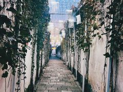 -青果巷历史文化街区
