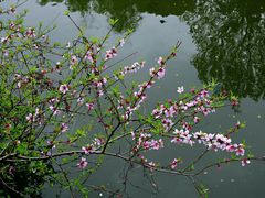 -荆川公园