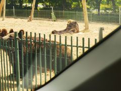 -秦皇岛野生动物园